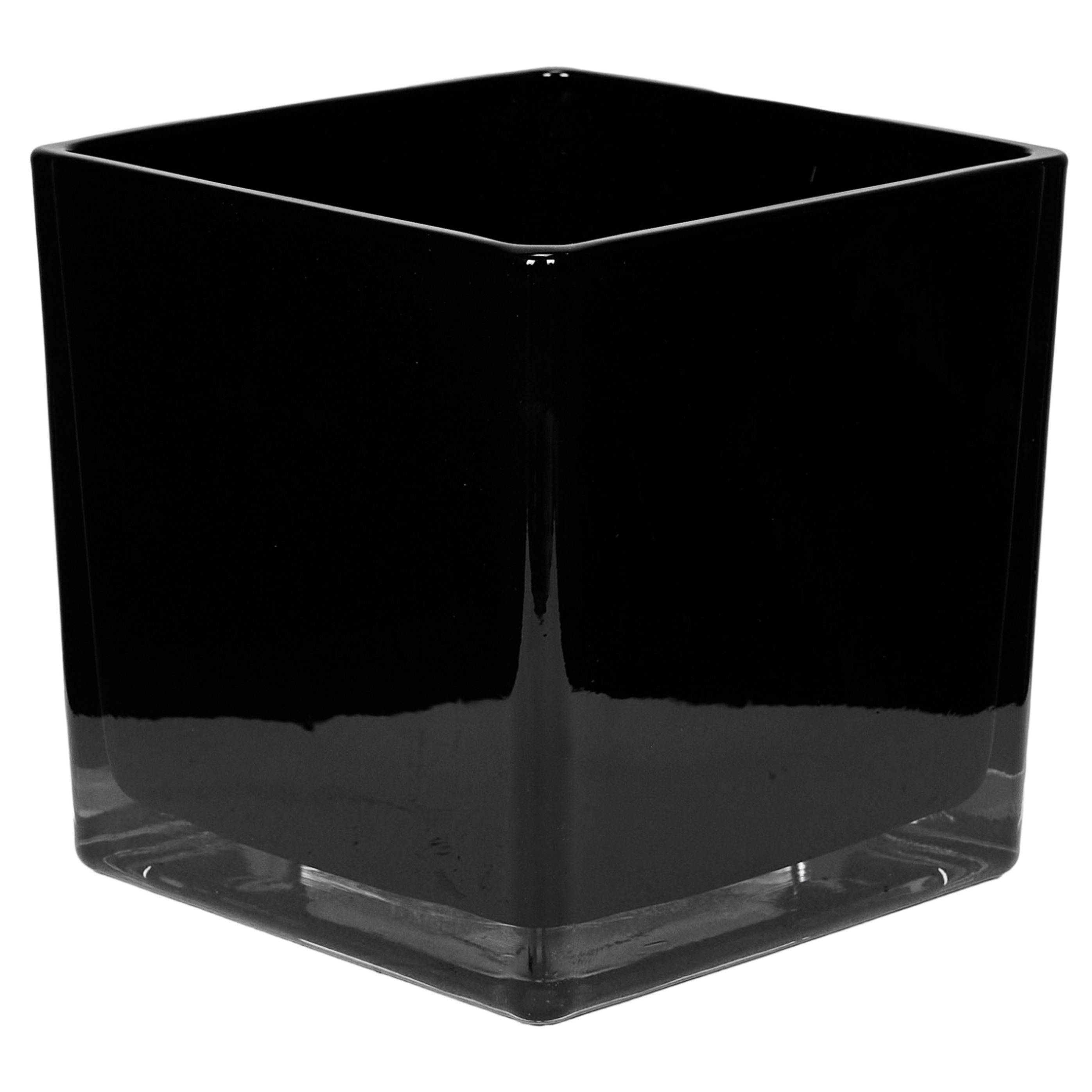 Роза флорибунда Феникс